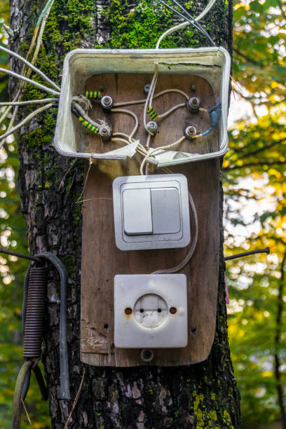 istock Electrical panel on a tree trunk. Thick wires are bolted together in a plastic box. Double switch, plastic socket are fixed to plywood 2187794092