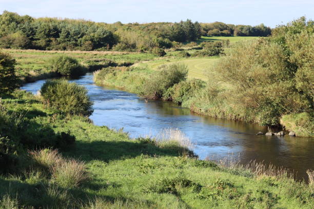 istock Countryside river winding through a meadow in summer 2187794978