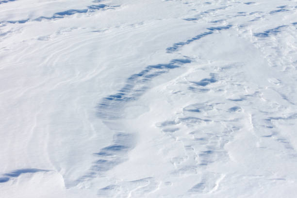 istock The snow is white and the ground is covered in it 2187795251