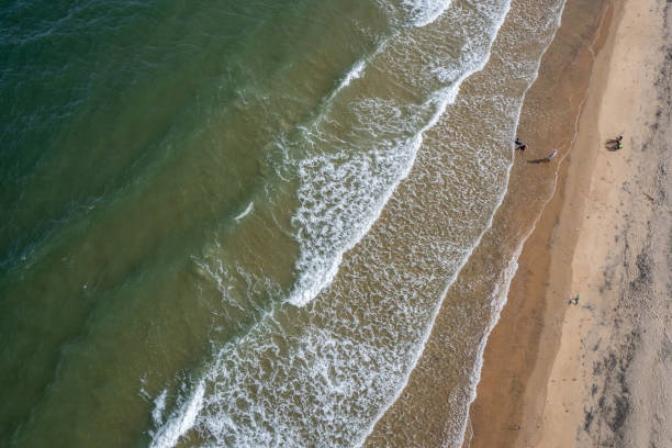 istock Aerial view of waves and beache 2187802176