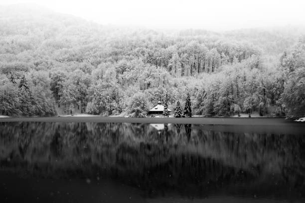 A serene winter landscape featuring a snow-covered forest and a tranquil lake, with a small cabin nestled among the trees.