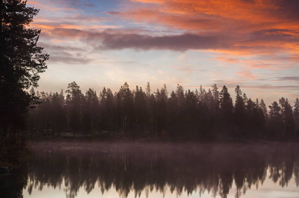 A beautiful sunrise casts vibrant colors across the sky, illuminating a misty lake. Silhouettes of trees line the shore, reflecting peacefully in the still water.
