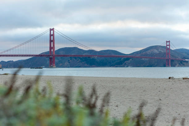 istock View across harbour to suspension bridge and hills 2187805750
