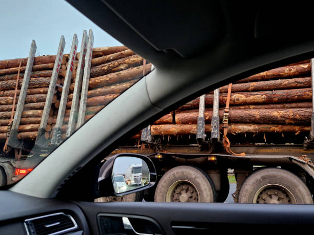 istock a serious accident when a load of logs fell on a car. avoid tipped semi-trailers when traveling in the regions, sell, trading, control, duty 2187806984