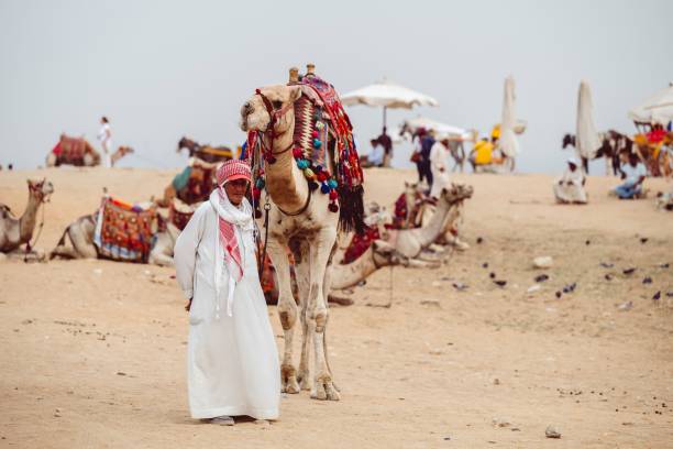 Cairo, Egypt - September 11, 2023: A serene desert scene featuring a camel and travelers resting, with gentle golden sands stretching into the horizon and a distant view of Egyptian landscapes under a clear blue sky.