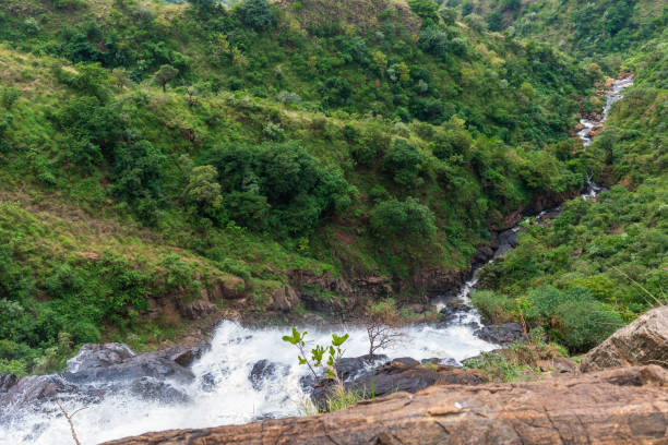 istock Near Africas rift valley 2187811592