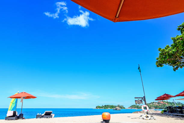 istock White sandy beach, blue sky and sea 2187812933