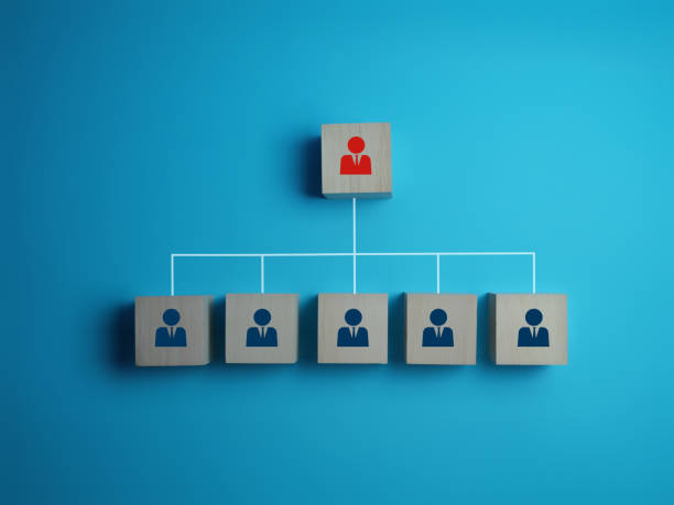 istock Outstanding Manager, Business Leader, Employee Level Chart 2187812939