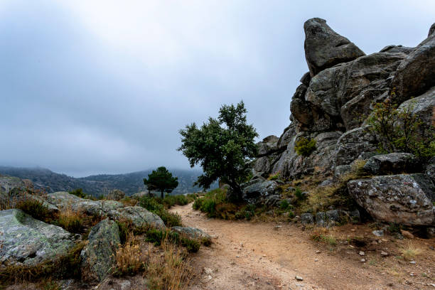 Camino hacia la niebla en la Sierra de La Cabrera. Madrid.
