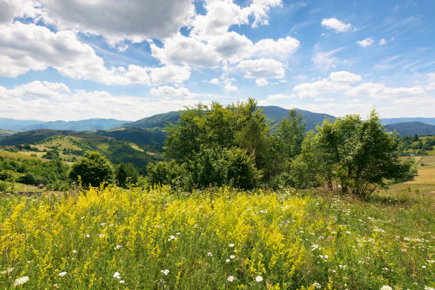 istock mountainous rural landscape in summer 2187828635