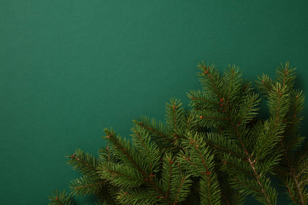 istock Minimalist Christmas background with lush green fir branches on a solid green backdrop. Ideal for festive designs, holiday cards, or seasonal projects with natural elements. 2187828728