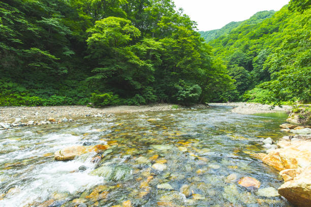 The view of the moss valley in Jangjeon Valley in Pyeongchang, Gangwon Province