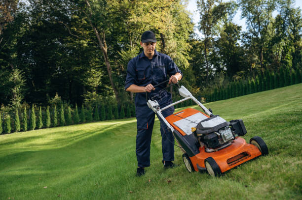 istock With lawn mover, working. Professional gardener is on the lawn 2187831985