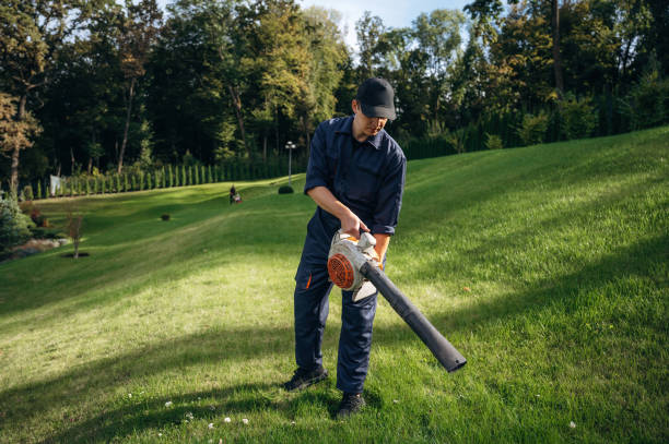 istock Standing and using leaf blower. Professional gardener is on the lawn 2187832022