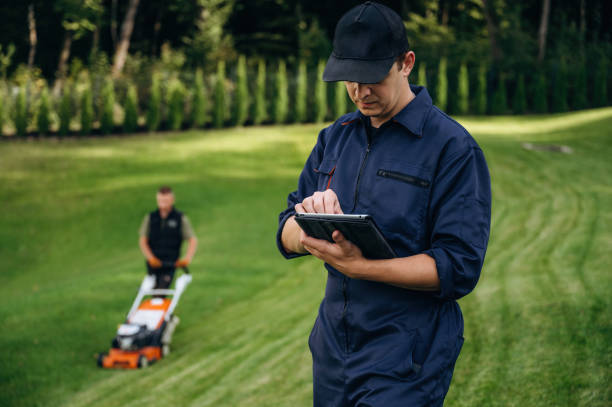Digital tablet is in hands. Professional gardener is on the lawn