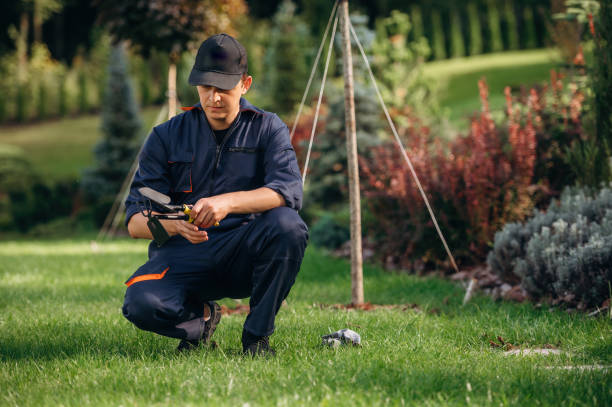 istock Professional gardener is on the lawn 2187832414