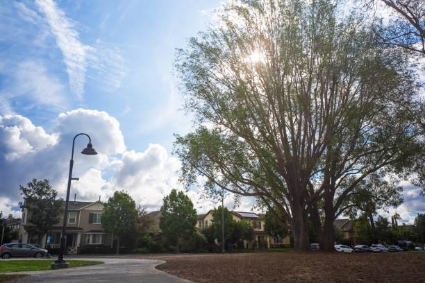istock Suburban park scene with a large tree and houses. 2187832820