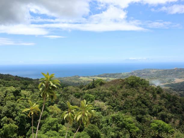 istock A Panoramic View Of Lush Green Hills 2187832889