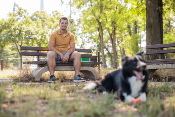 istock Man with Border Collie Dog in Park 2187837145