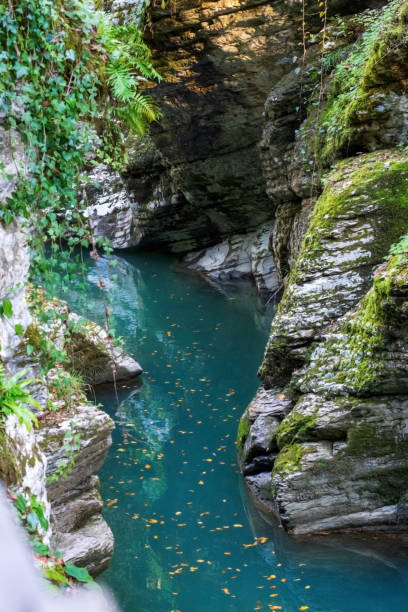 istock The blue mountain river flows through a mountain canyon 2187838309
