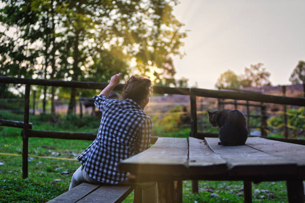 istock Farmer feeding animals at sunset with cat on table 2187841387
