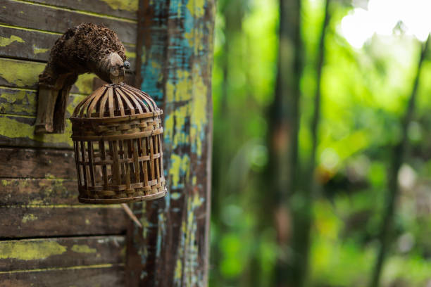 bamboo woven lantern cover in front of the door, in a house in the middle of the forest
