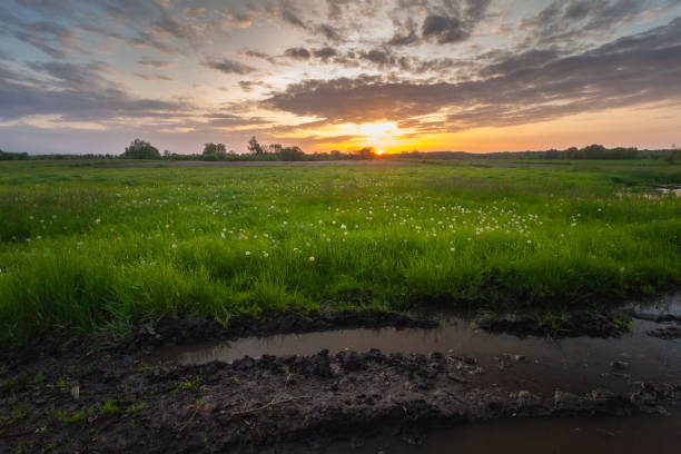 istock Mud and water in the meadow during sunset 2187846372