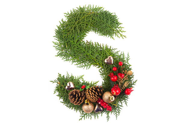 Christmas letters alphabet or font made of pine branches