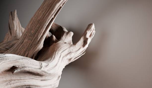 istock Branches, product scenes, dry wood, 3D illustrations 2187857661