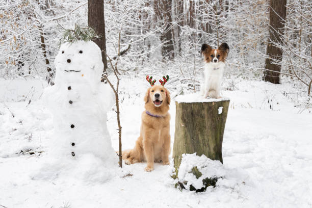 A red-haired dog and a small dog next to a snowman in the winter forest