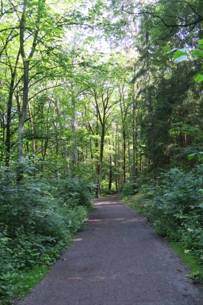 istock Hiking trail on Bygdoy in Oslo 2187860663