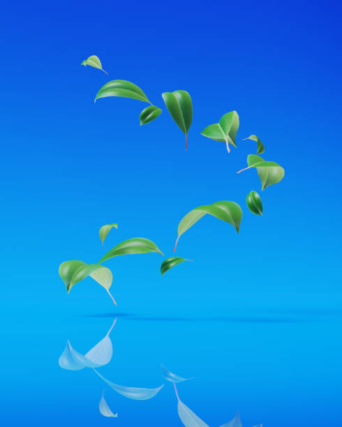 Leaves spirally  scattered in the air on blue background. Vertical composition with copy space. Front view.