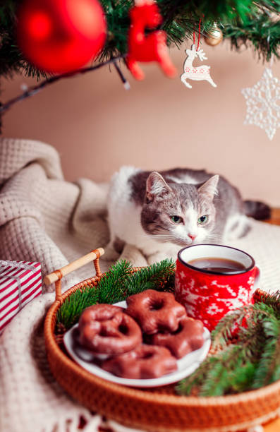 istock Curious cat smelling coffee and gingerbread on tray under decorated Christmas tree. Festive food and drinks 2187863977