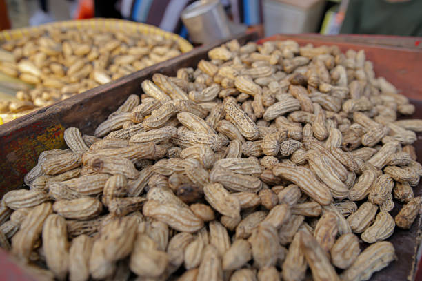 istock Boiled peanuts that are still warm and ready to eat 2187868532