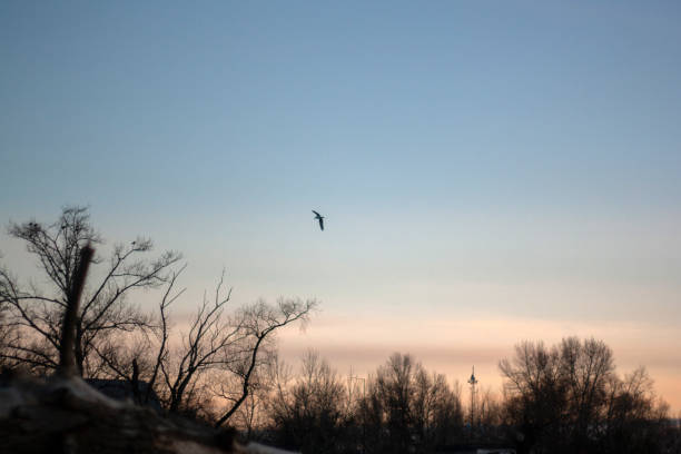 istock a sunset with clouds and a sunset on the horizon. 2187869747