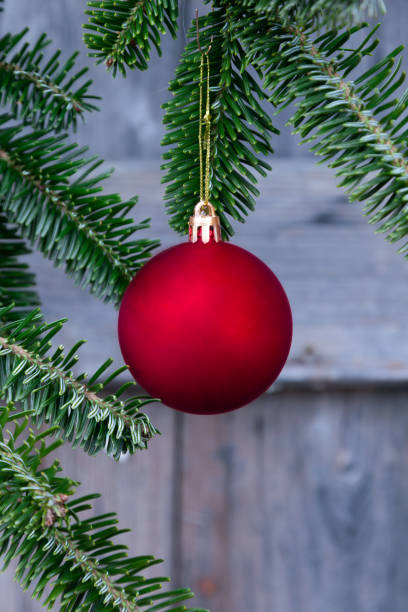 Close-up of one solid red  Christmas ornament hanging from pine branches with a wood background. Focus on ornament; copy space.