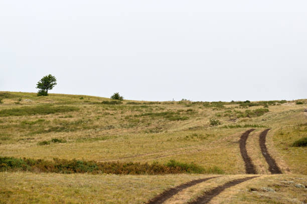 A winding road through a field on a hill