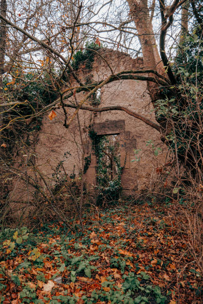 istock Overgrown Abandoned Stone House 2187874738