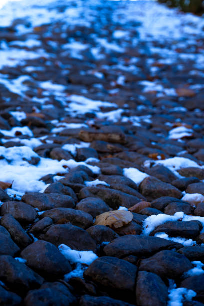 photo on the snowy path to the Grignone mountain