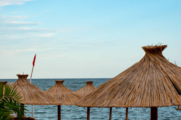 istock cane umbrellas on the beach 2187876476