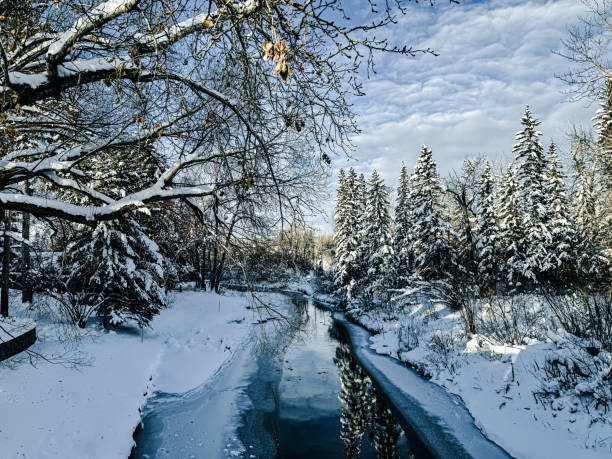 Winter snow and scenery along the Elbow River trails in Calgary, Alberta