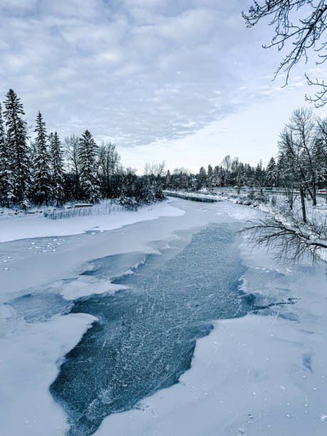 istock Winter snow and scenery along the Elbow River trails in Calgary, Alberta 2187877227
