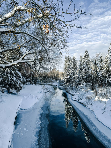istock Winter snow and scenery along the Elbow River trails in Calgary, Alberta 2187877325