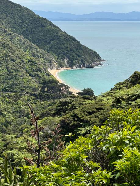 istock Whariwharangi Bay from Abel Tasman National Park 2187879681