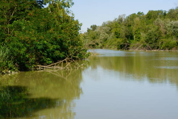 istock Oasis of Punte Alberete 2187880746