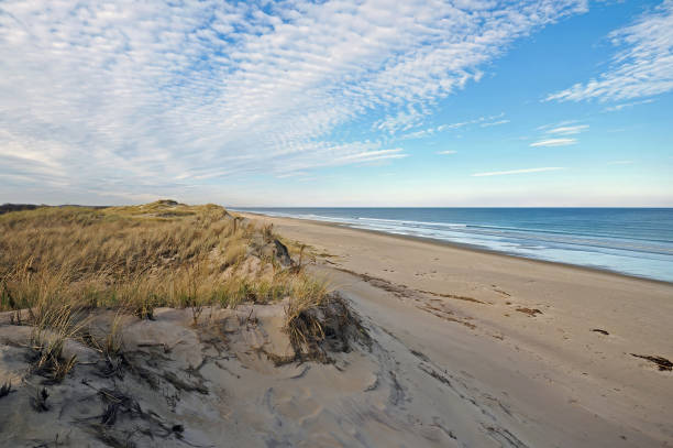 istock Sand Dunes and Sea 2187881520
