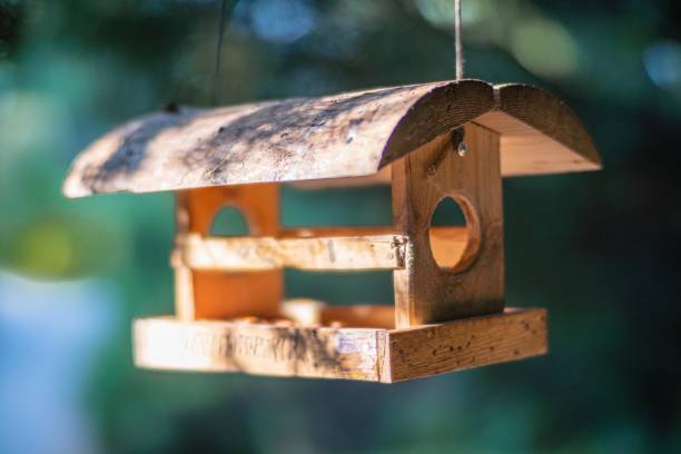 istock A weathered birdhouse hangs on a hook or branch, with a sloping roof and square base It has an upper front opening for birds The setting appears to be outdoors, possibly in daylight 2187885110