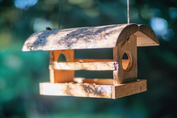 istock A rustic wooden bird feeder hanging from a wire, with small openings for birds, set against a blurred natural backdrop of greenery and trees 2187885121