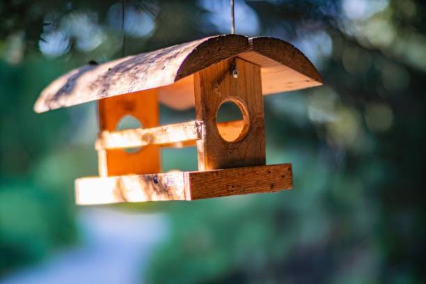 istock A wood birdhouse, with two openings, hangs from a string in a natural environment The style of the photograph emphasizes details of the birdhouse and its surroundings without specifying a location o 2187885201