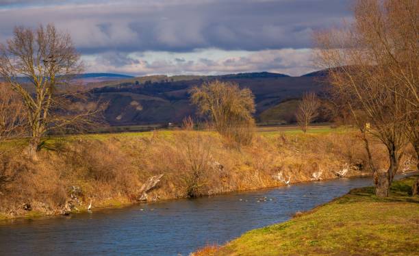 istock Scenic view of a tranquil river flowing through a rural landscape with bare trees 2187887614